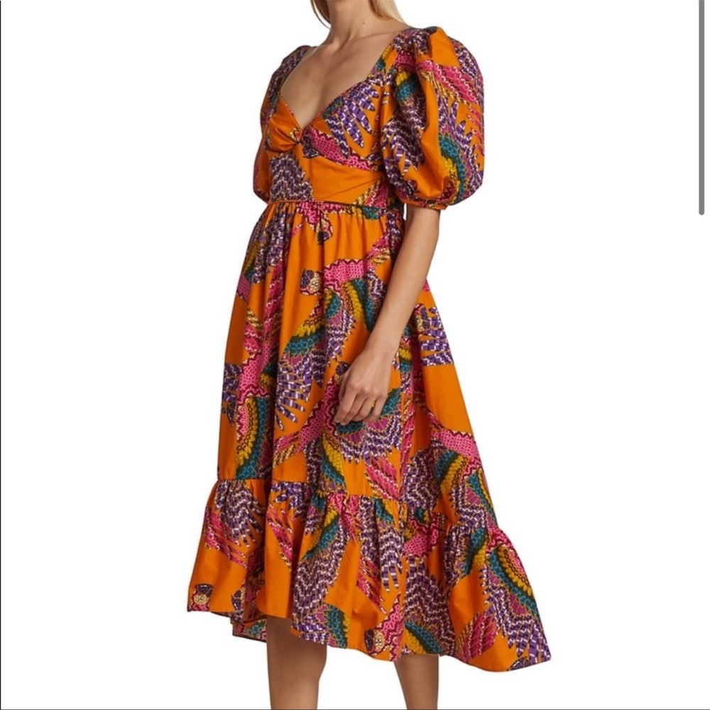 Farm Rio Macaw dress